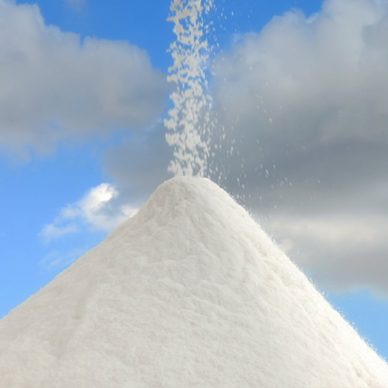Washed Bulk Salt